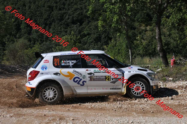 DSC_4784.JPG